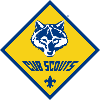 Picture of Cub Scout