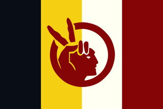 Picture of American Indian Movement