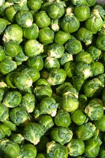 Picture of Brussels sprout