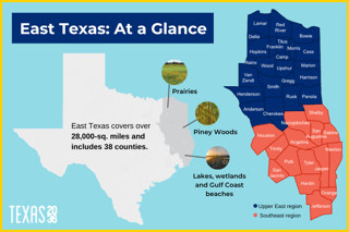 Picture of East Texas