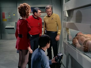 Picture of Space Seed
