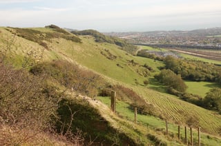 Picture of North Downs