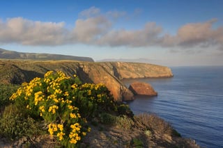 Picture of Santa Cruz Island