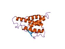 Picture of Interleukin 4