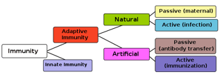 Picture of Immunity
