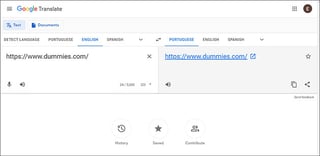 Picture of Google Translate