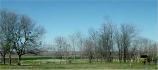 Picture of China Spring