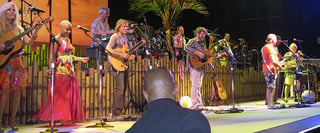 Picture of Coral Reefer Band