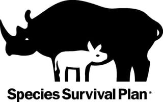Picture of Species Survival Plan