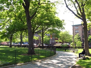 Picture of Marcus Garvey Park