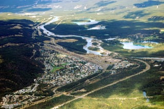 Picture of Jasper
