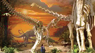 Picture of New Mexico Museum of Natural History and Science