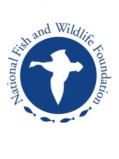 Picture of National Fish and Wildlife Foundation