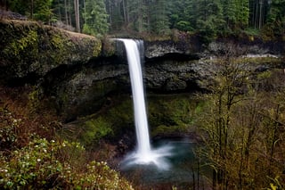 Picture of Silver Falls State Park