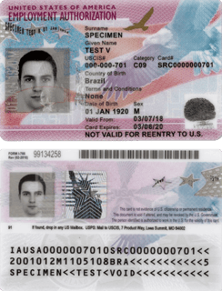 Picture of Employment authorization document