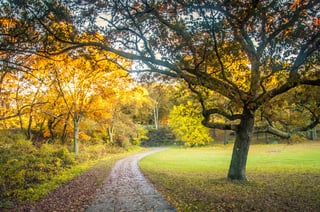 Picture of Franklin Park