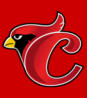 Picture of Cardenales de Lara