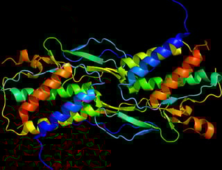 Picture of Interleukin 15