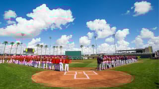 Picture of Spring training