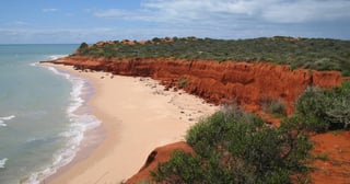 Picture of Shark Bay