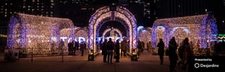 Picture of Cavalcade of Lights Festival