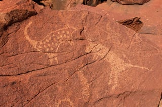Picture of Murujuga