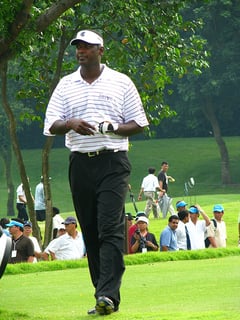 Picture of Vijay Singh