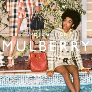 Picture of Mulberry