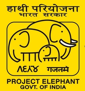 Picture of Project Elephant