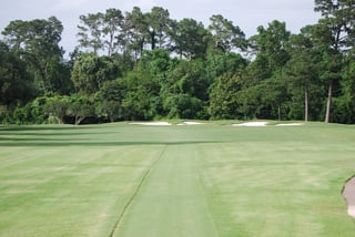 Picture of Champions Golf Club