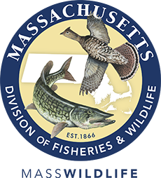 Picture of Division of Fisheries and Wildlife