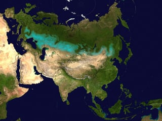 Picture of Eurasian Steppe
