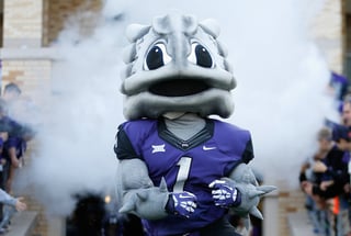 Picture of TCU Horned Frogs