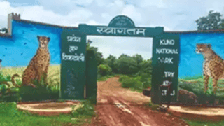 Picture of Kuno Wildlife Sanctuary