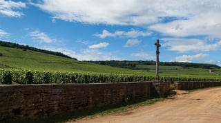 Picture of Romanée-Conti
