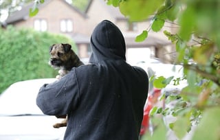 Picture of Dognapping
