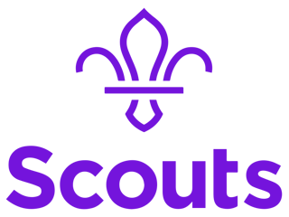 Picture of The Scout Association