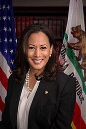 Picture of Jamaican American