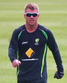 Picture of David Warner