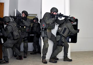Picture of Swatting