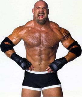 Picture of Bill Goldberg