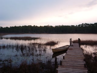 Picture of St. Johns River