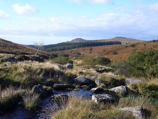 Picture of Dartmoor
