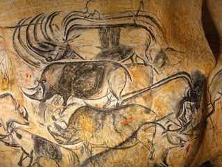 Picture of Chauvet Cave