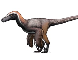 Picture of Dinosaur