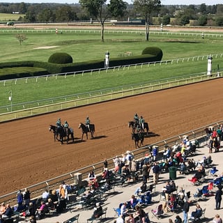 Picture of Keeneland