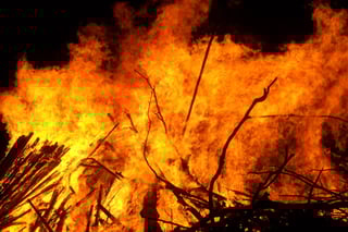 Picture of Fire