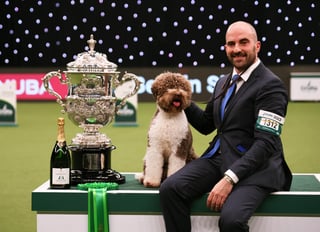 Picture of Crufts