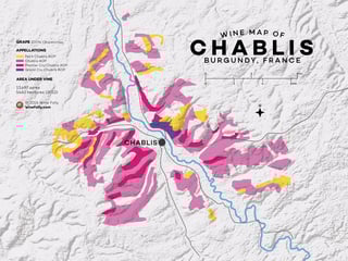 Picture of Chablis wine region