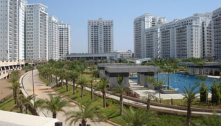 Picture of Whitefield